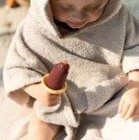 قوالب المثلجات